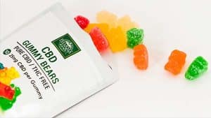 Ride the Wave of CBD Business Opportunities