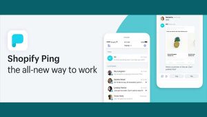 What Is Shopify Ping
