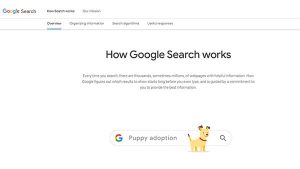 How does Google Work?