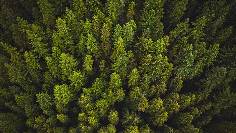 How to Use Evergreen Content to Drive Results Year-Round?