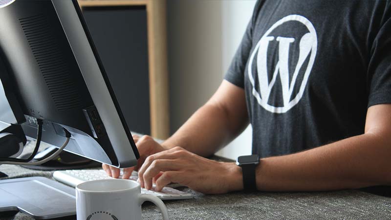 How to Protect a WordPress Site from Hackers?