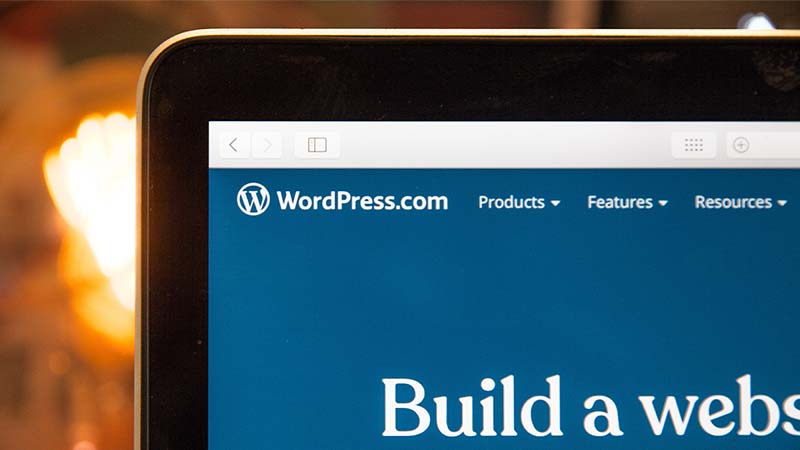 What are the Best Online Courses WordPress Themes?