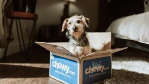 Pet Products and Services Market Takes a Fancy to Ecommerce with $99 Billion Sales