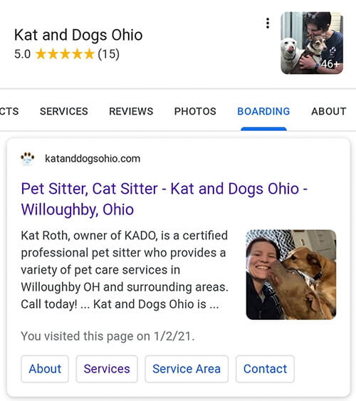 Google tests dynamic customized tabs in local panel