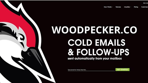 Woodpecker