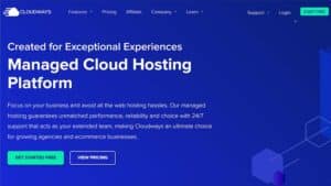 Cloudways – Everything You Need to Know