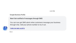 SMS Messaging Support Returns to Google Business Profiles?