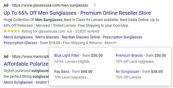 Google Ads Listing with More Expandable Link