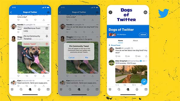 Twitter Adds New Option to Pin Tweets Within Communities