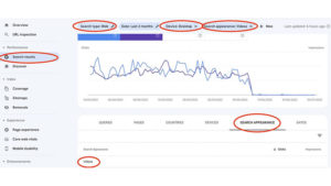 Possible Bug with Google Search Console Performance Report for Videos On Desktop