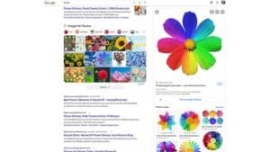 Google launches new image preview interface in web search