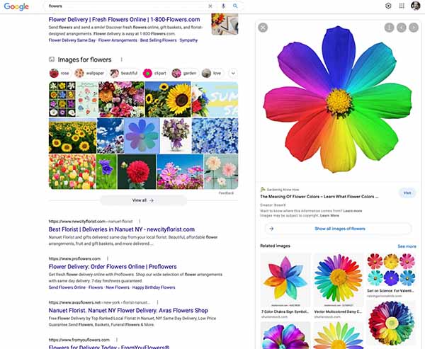Google lança nova interface de visualização de imagens na pesquisa na web