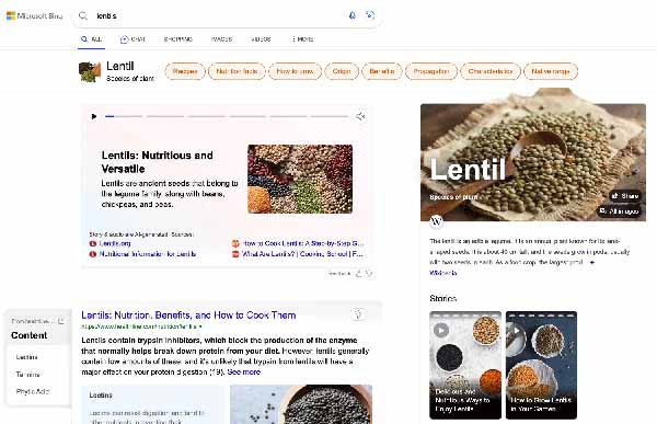 Bing AI-Generated Stories In Search Results 