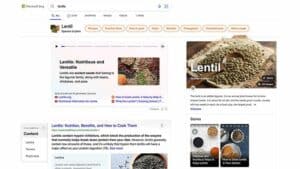 Bing AI-Generated Stories In Search Results