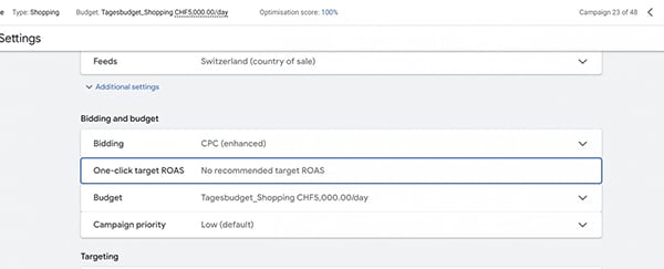 Google Ads One-Click Target ROAS Shopping Campaigns Setting