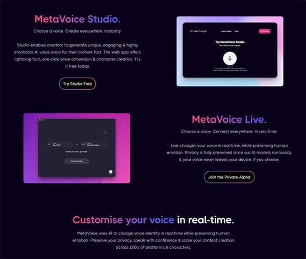 Metavoice