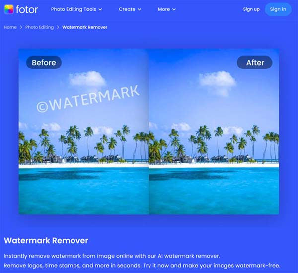 Fotor Watermark Remover