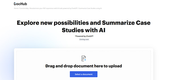 DocHub AI Case Study Generator