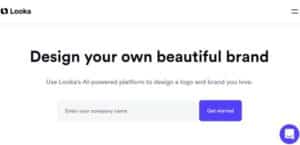 Looka AI (AI Branding Tool)