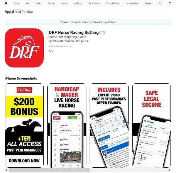 DRF AI Horse Racing Betting