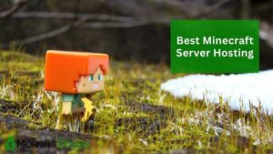 Hosting serverů Minecraft
