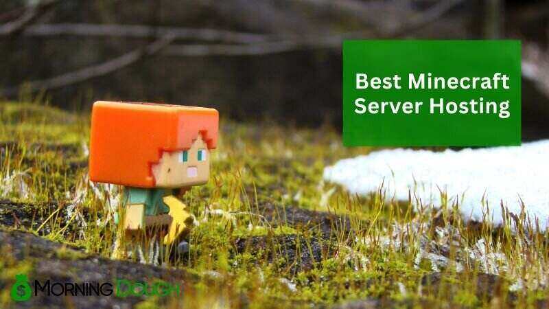 Minecraft Server Hosting