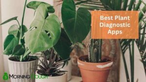 Приложения для диагностики растений