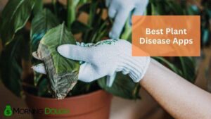 식물 질병 앱