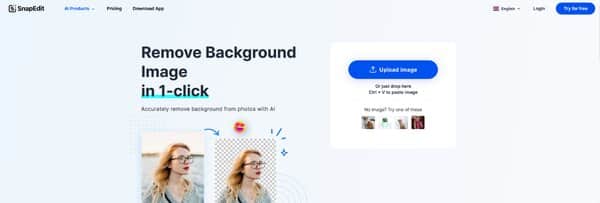 Snapedit AI Image Background Changer