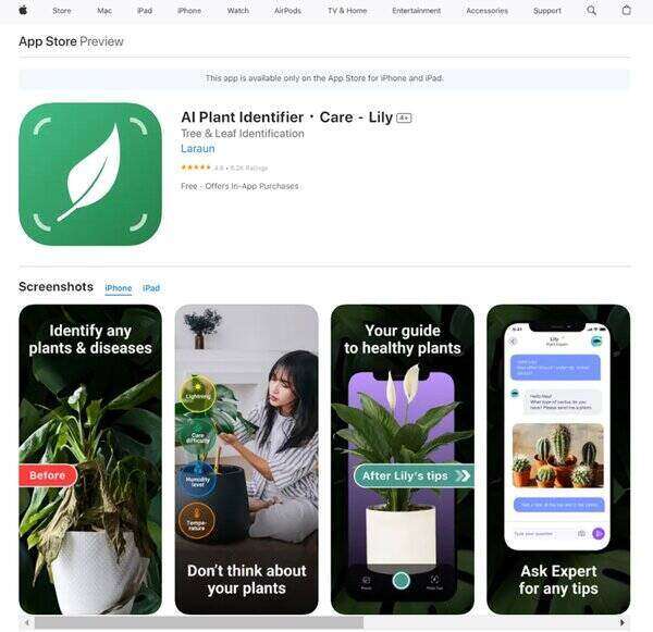 Lily AI Plant Identifier