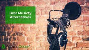 Musicfy Alternatives
