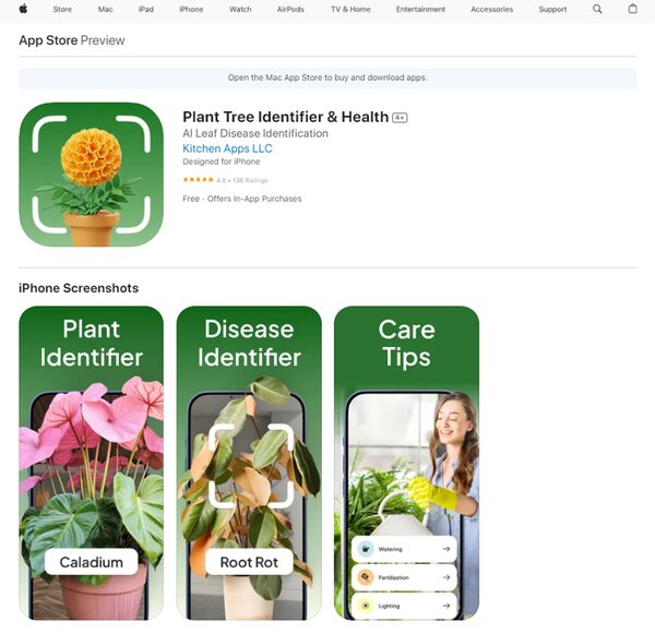 Plant Tree Identifier & Health