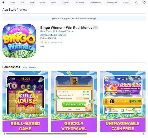 Bingo Winner Win Real Money