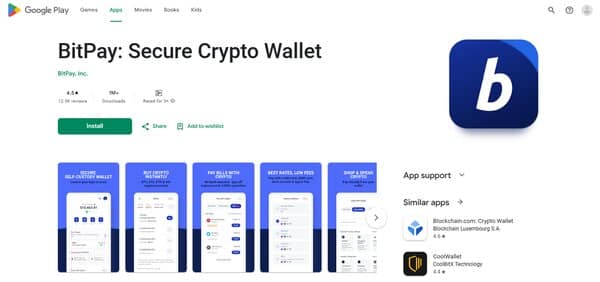 BitPay