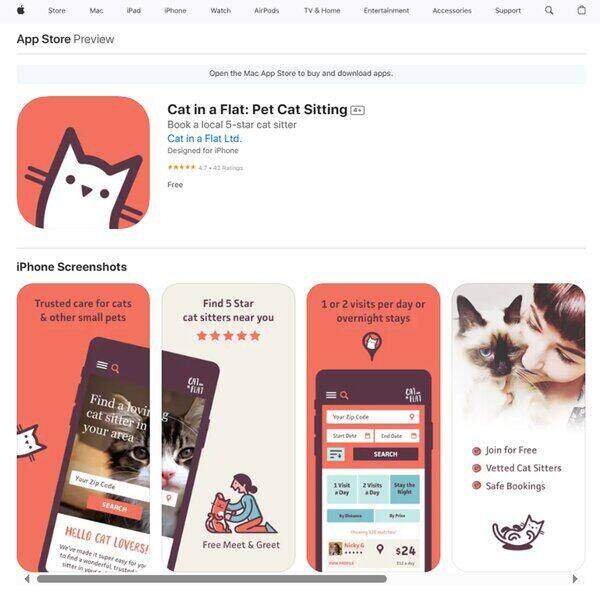 Pet Cat Sitting