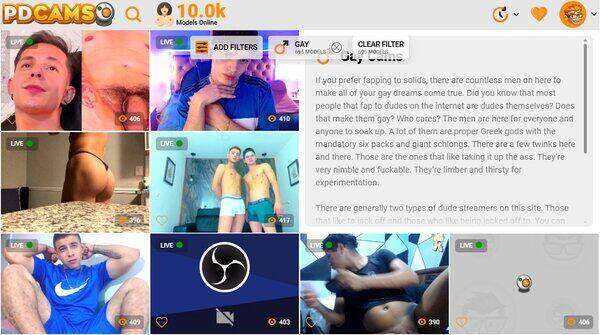 PDCams Gay