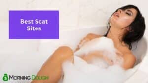 Scat Sites