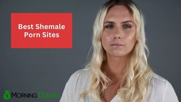 Shemale Porn Sites
