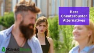 Cheaterbuster Alternatives