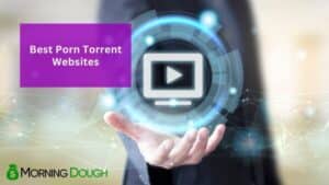 Porn Torrent Websites
