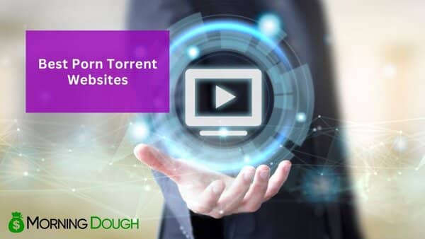Porn Torrent Websites