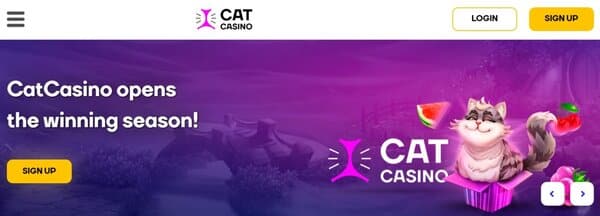 CatCasino
