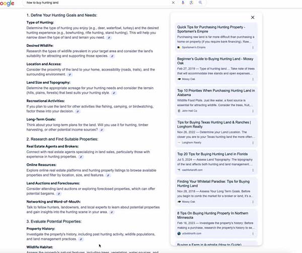 Google AI Overviews Go Deeper With Gemini 2.0?